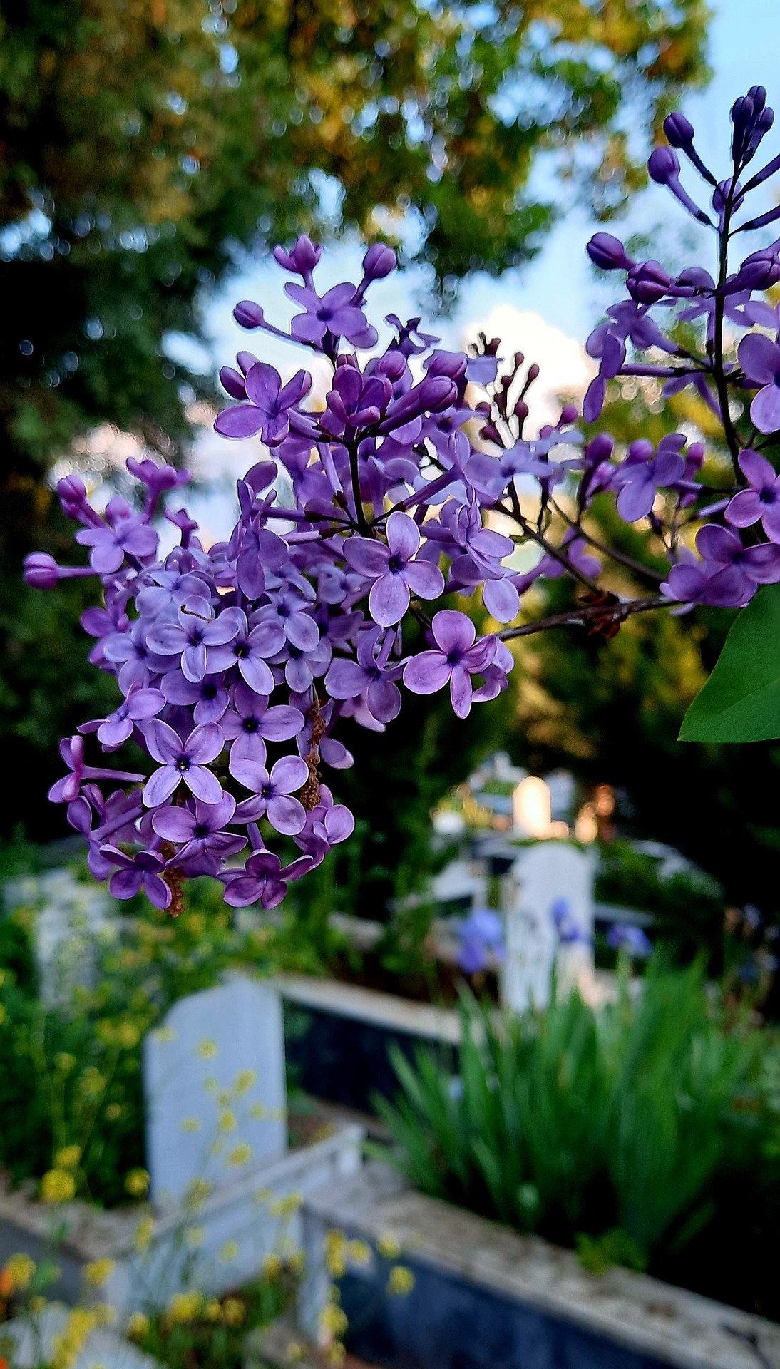 Mehr über den Artikel erfahren „Es gibt kein Schicksal!“ – Meine Überzeugung an jedem Grab