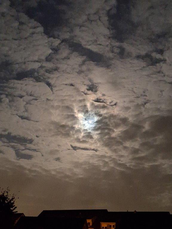 Mehr über den Artikel erfahren Gott sieht den Menschen…