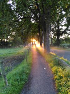 Mehr über den Artikel erfahren IHN sehen